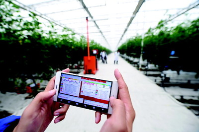 智慧農業造就農業工廠——智能農業管理助力臨邑農業現代化